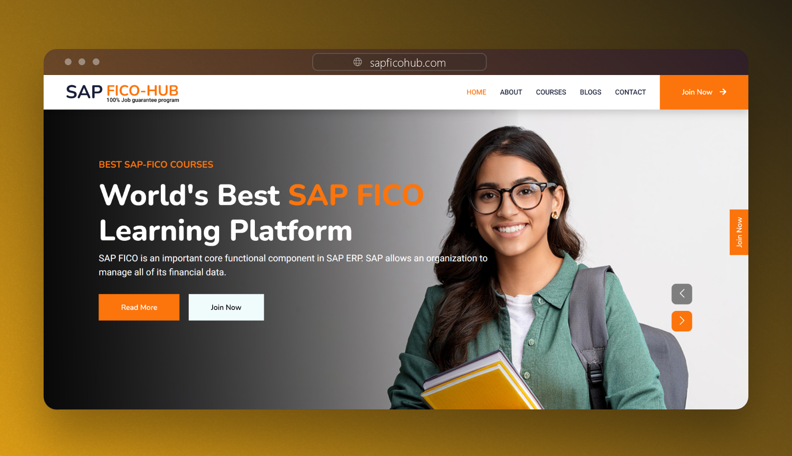 Screenshot of SAP FICO Hub - Website developed by Jaya Sai Avinash Boddeda
